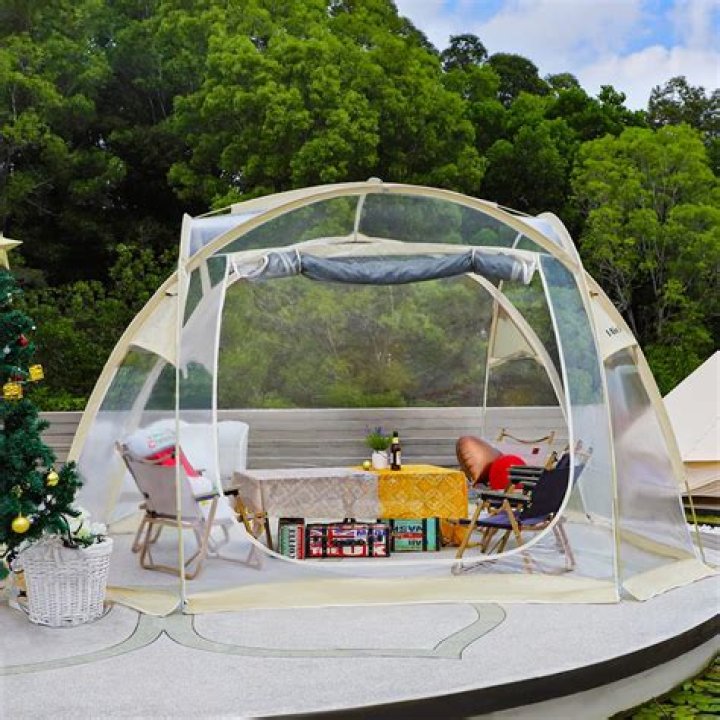 Poor Girl Living in Tent Shelters Sick Stray Dog, Month Later Pet Leads Kid to Her Big New House — Story of the Day