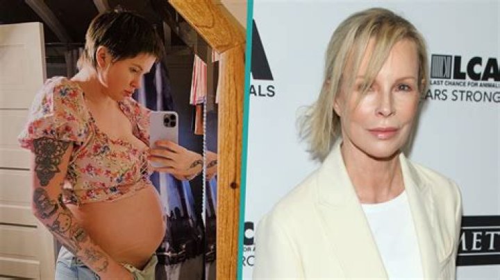 Kim Basinger Went to Pregnant Daughter's 'Inappropriate' Baby Shower after They Didn't Speak for a Year