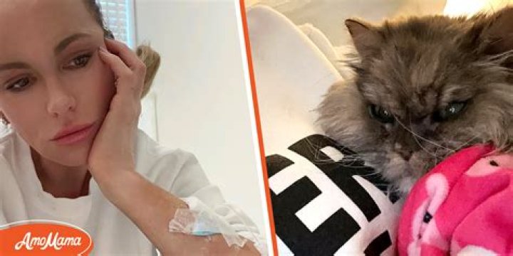 'Tough Week or Two': Kate Beckinsale & Her One Cat Received Medical Treatment