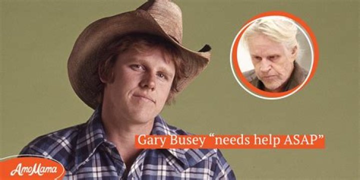 At 79, Gary Busey's Looks Changed after He Had Brain Injury, Couldn't Eat & Walk – People Say He 'Needs Help ASAP'