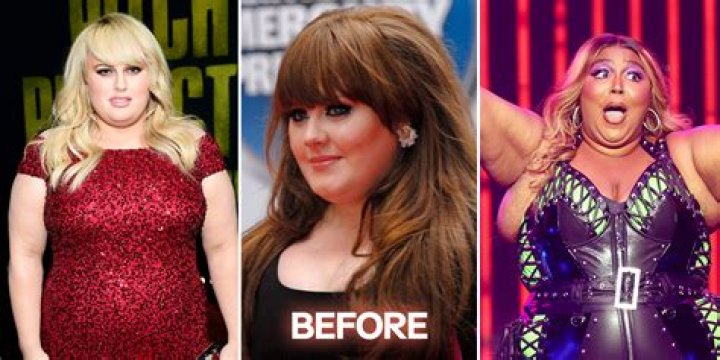 SZA's Weight Gain Discussed by Fans & She Confirmed Enhancement Surgery