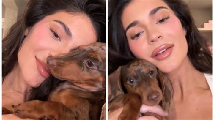 Kendall Jenner's Dog Once Reportedly Bit a Child, Sparking Further Discussions about Her Treatment of Pets