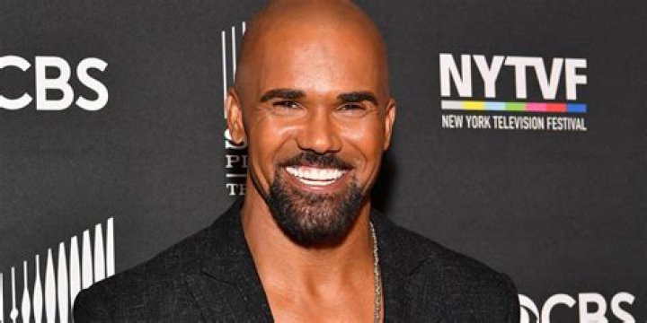 Steve Damstra Is a Musician - Facts about Paget Brewster’s Husband