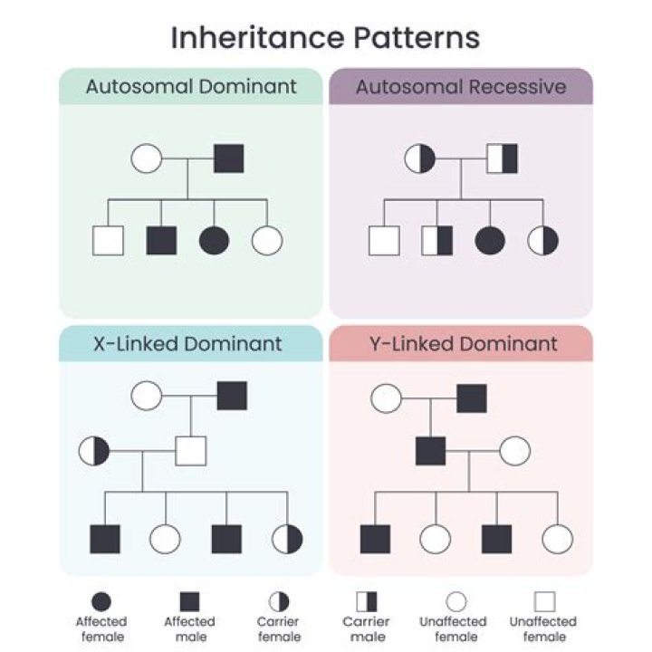 Sick Grandpa’s Inheritance Is Divided according to How Each Family Member Treated Him