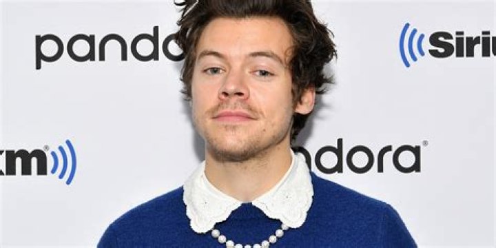 Harry Styles Leaves Fans ‘Grieving’ as He Officially Debuts Shaved Head On Instagram