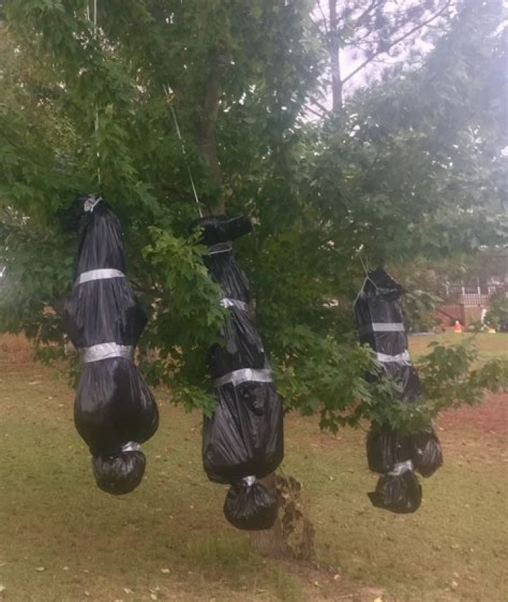 If you ever see one of these bags hanging in a tree, immediately run away