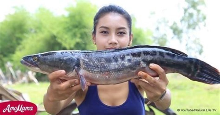 Couple earned money on YouTube for skinning and eating endangered animals