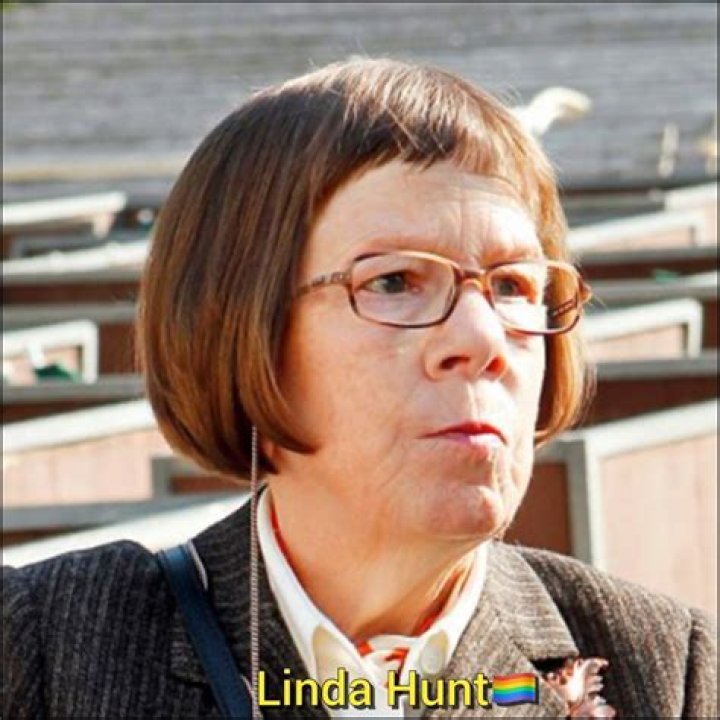  'NCIS: Los Angeles' star Linda Hunt shares health update after serious car crash