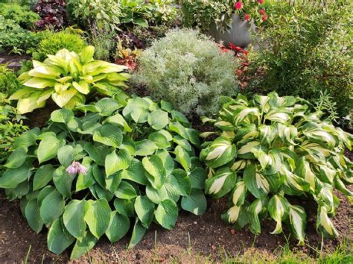 Popular host leaves 'The View'